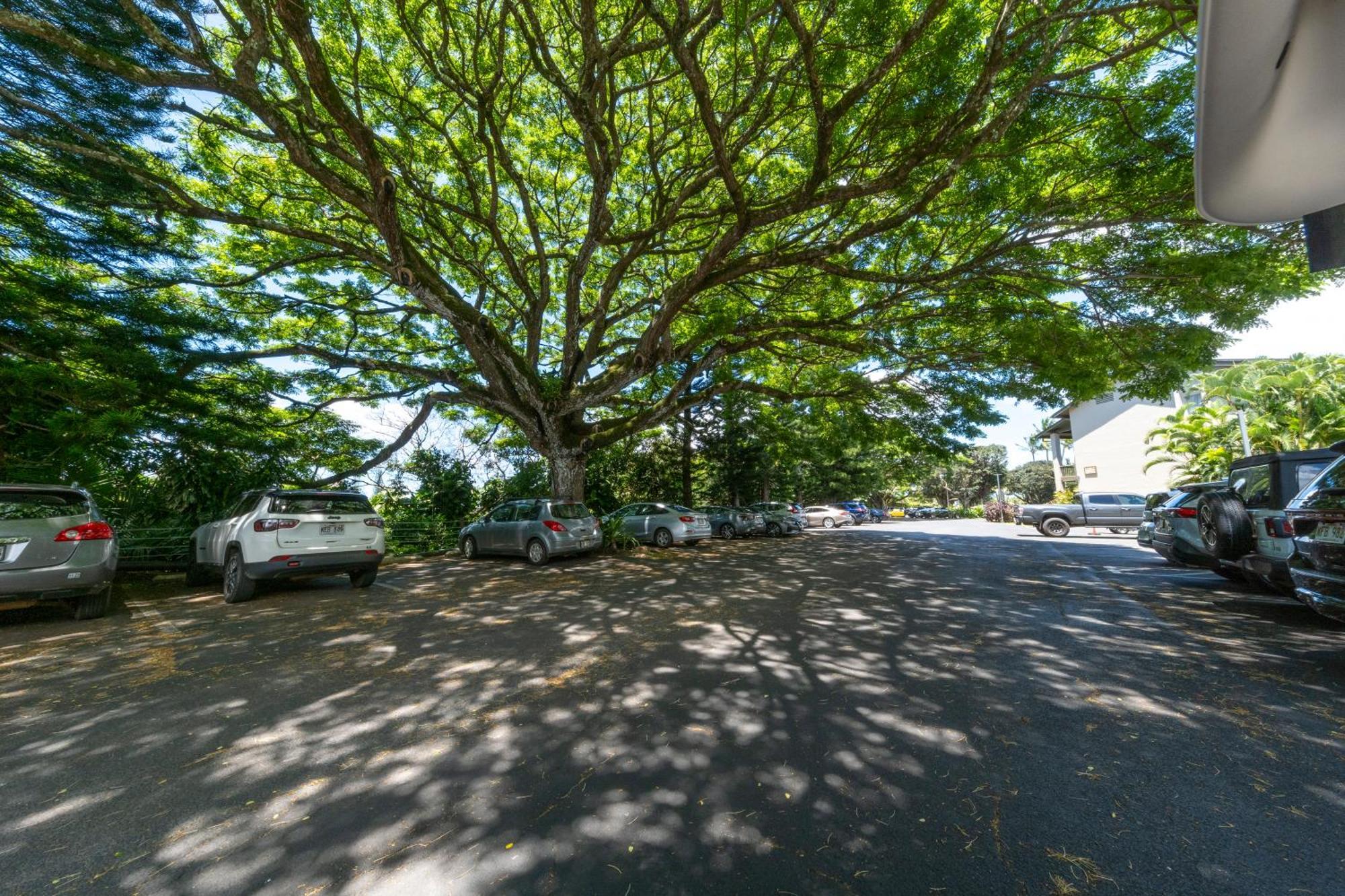 פרינסוויל Hanalei Bay Resort מראה חיצוני תמונה